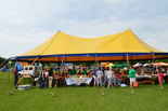 galeria_foto