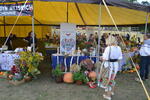 foto_galeria