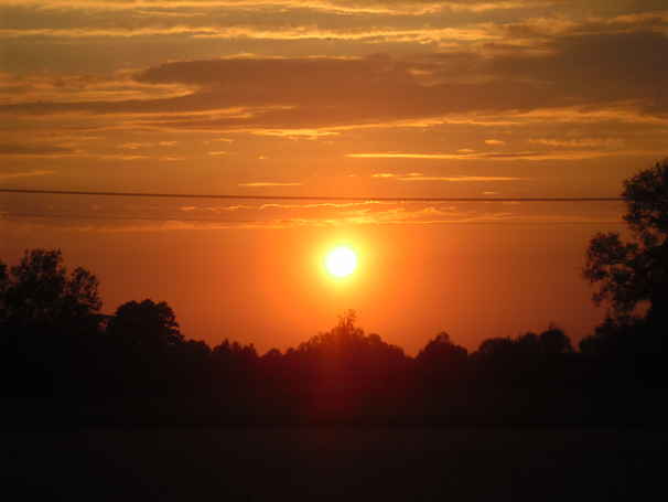 foto_galeria