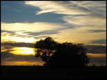 galeria_foto