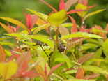 galeria_foto