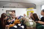 foto_galeria