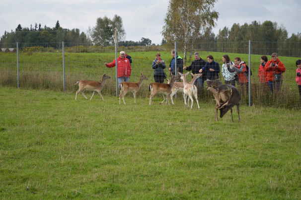 foto_galeria